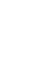 Middle East & North Africa ( MENA)