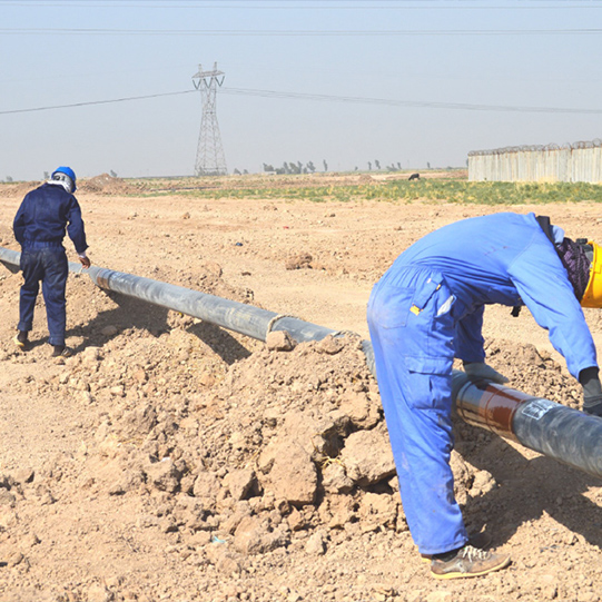 EPC of Trunk Lines